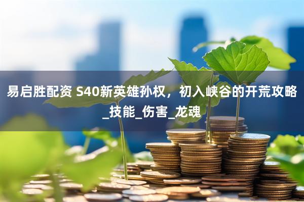 易启胜配资 S40新英雄孙权，初入峡谷的开荒攻略_技能_伤害_龙魂