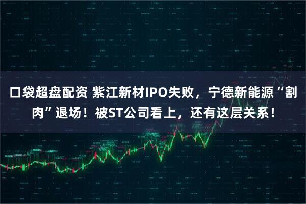 口袋超盘配资 紫江新材IPO失败，宁德新能源“割肉”退场！被ST公司看上，还有这层关系！
