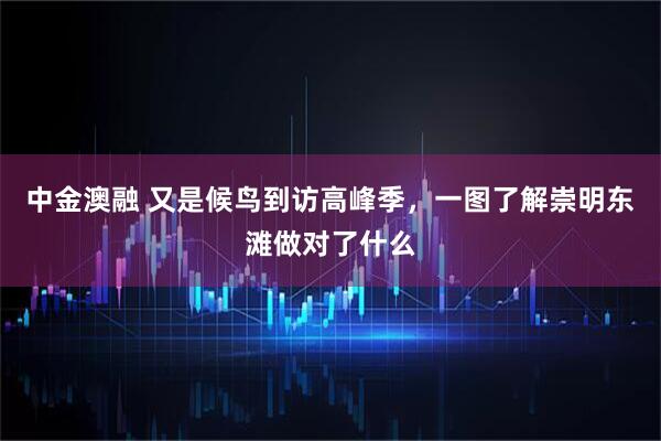 中金澳融 又是候鸟到访高峰季，一图了解崇明东滩做对了什么